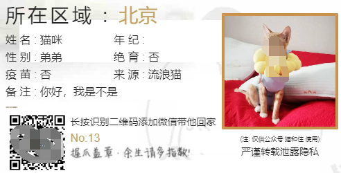 流浪猫流浪狗领养源码